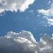 Constance Wright Photo 16