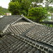 Liang Zhang Photo 14