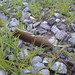 Marie Mcneely Photo 12