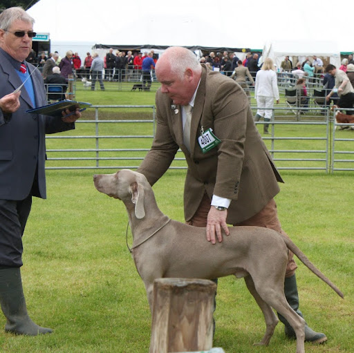 Thomas Hendry Photo 6