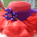 Susan Jaeger Photo 15