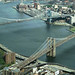 John Cortright Photo 12