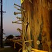 Dawn Robb Photo 26