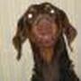 Julie Bowe Photo 12
