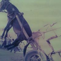 Reggie Craft Photo 11