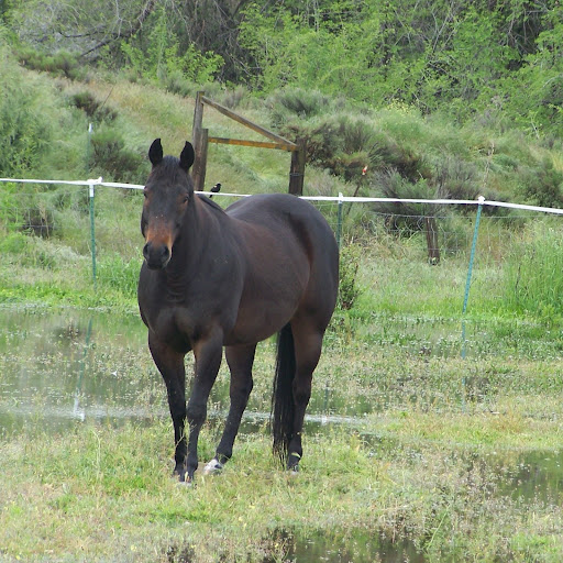 Suzanne Mcreynolds Photo 4