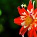 Susan Best Photo 48
