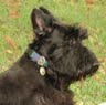 Susan Moloney Photo 25