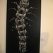 Ben Howe Photo 39