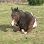 Donna Whitmore Photo 16