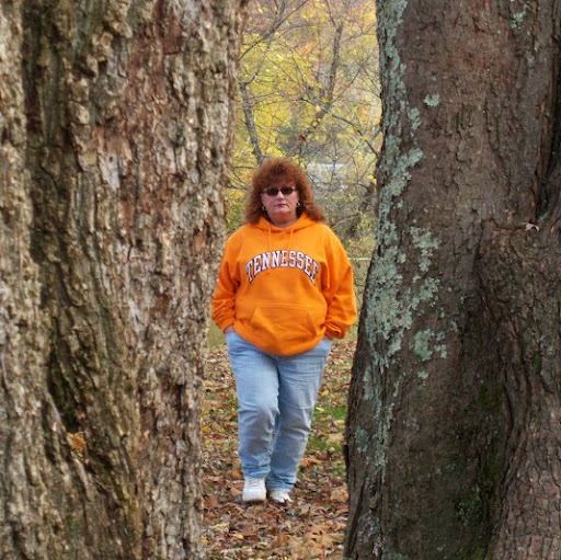 Lucinda Porter Photo 6