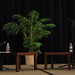 Michael Seymour Photo 7