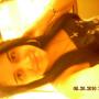 Ana Montalvo Photo 40
