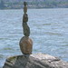Terry Robison Photo 18