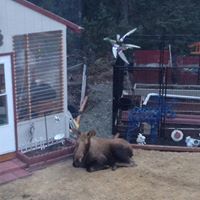 Sherry Clouse Photo 9