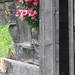 Ann Reynolds Photo 12