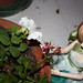 Amy Flores Photo 15