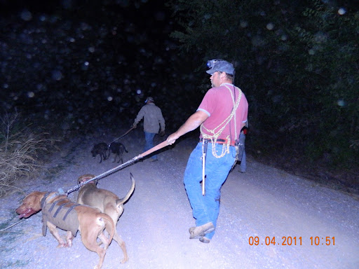 Lee Dorman Photo 11