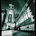 Timothy Ellis Photo 11