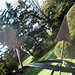 Wayne Dey Photo 10