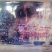 Allison Wells Photo 23