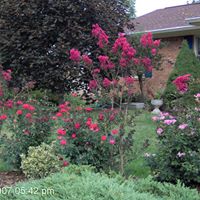 Joyce Givens Photo 8