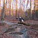 Vicky Laws Photo 16