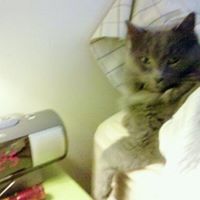 Maximus Smith Photo 8
