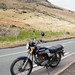 Norman Thoms Photo 8