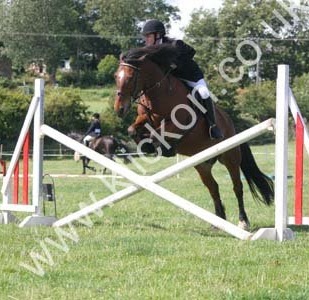 Alisha Ellis Photo 6