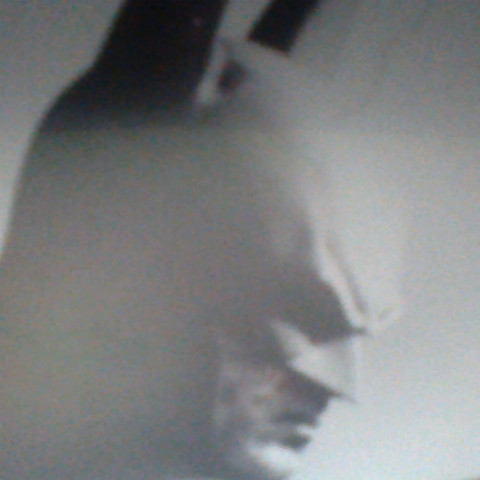 Troy Ross Photo 13