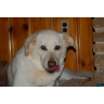 Denise Mccarty Photo 7