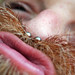 Carl Beard Photo 24