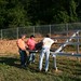 Stephen Lay Photo 24