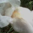 Beth Blair Photo 34
