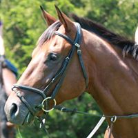 Catherine Ragland Photo 5