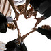 Tracie Roberts Photo 15