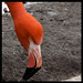 Mark Ruber Photo 11