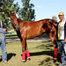 Gary Loy Photo 15