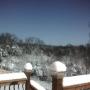 Diana Echols Photo 8