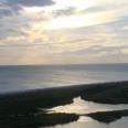 Kathleen Webber Photo 17