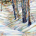 Roberta Combs Photo 15