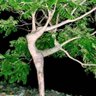 Terri Oliver Photo 29