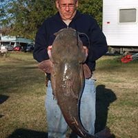 Timothy Riggins Photo 12