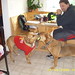 Roy Wiley Photo 15