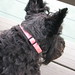 Larry Rieker Photo 4