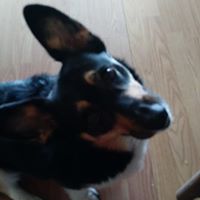 Wendy Cunningham Photo 11