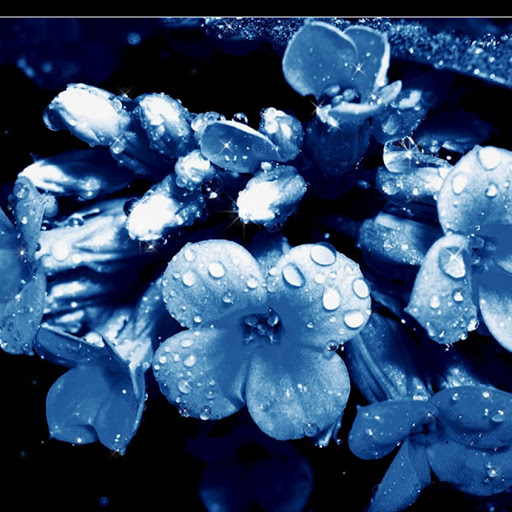 Pinal Patel Photo 27