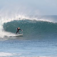Michael Morey Photo 43