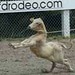 Brenda Enochs Photo 8